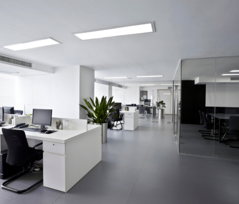 Commercial Office Painting